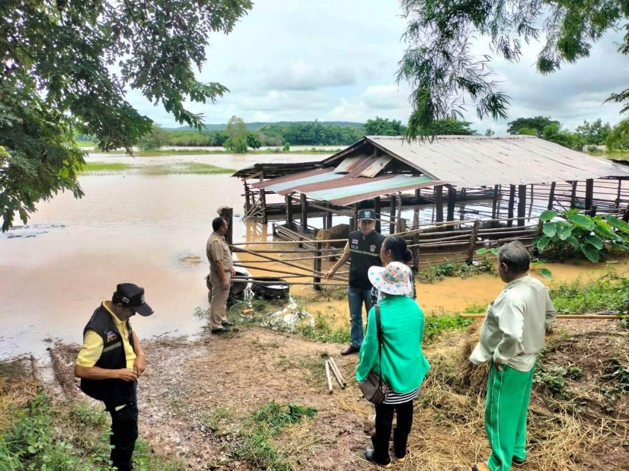“ไชยา” สั่งเร่งช่วยเหลือเกษตรกรผู้เลี้ยงสัตว์ พื้นที่น้ำท่วมทั่ว ปท.