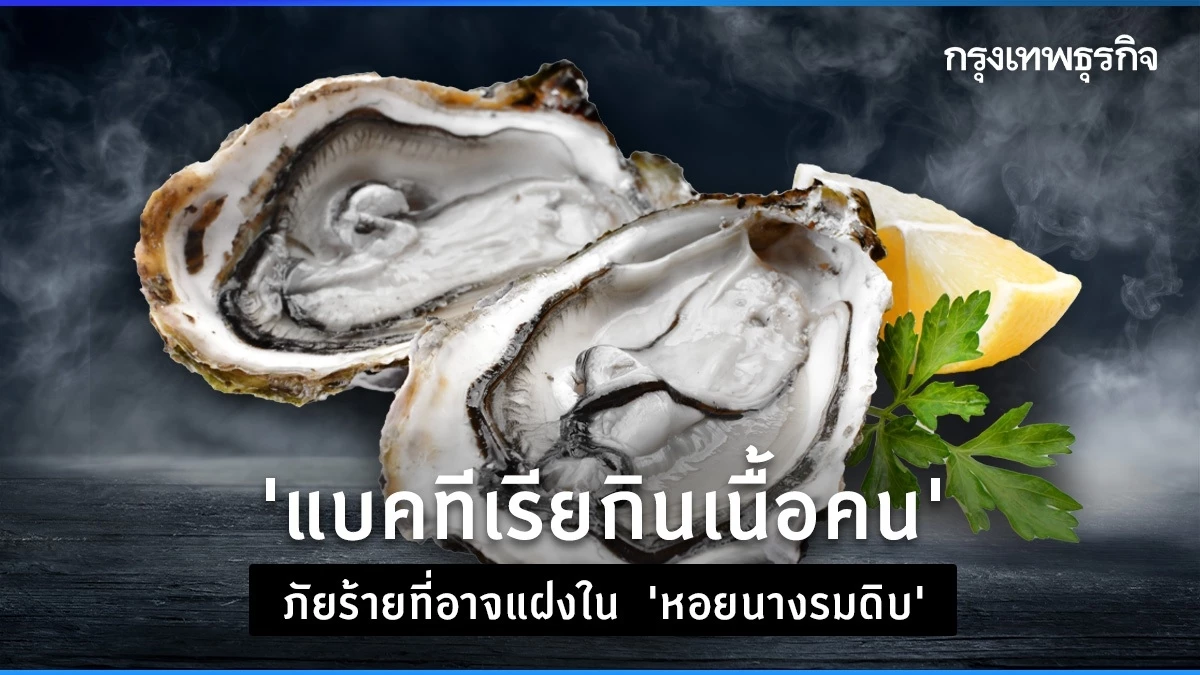 ‘แบคทีเรียกินเนื้อคน’ ภัยร้ายที่อาจแฝงใน ‘หอยนางรมดิบ’