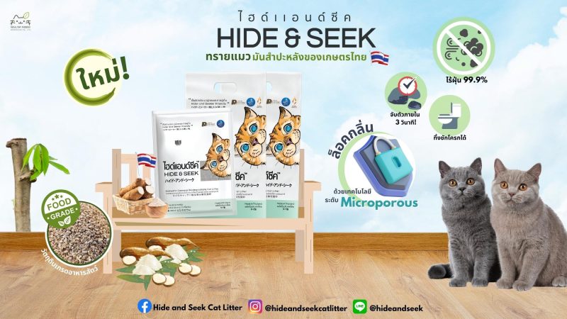 “Hide & Seek” ทรายแมวมันสำปะหลังเจ้าแรกจาก SME ไทย จากยอดขาย 10,000 บาท สู่ 20 ล้าน ภายใน 3 เดือน