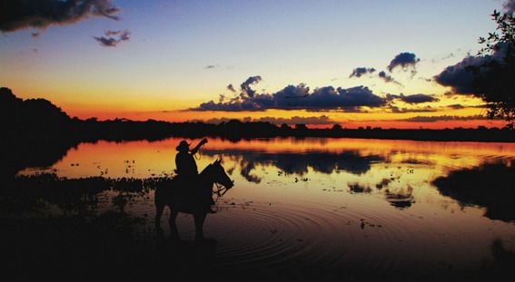 Cultura e gastronomia do Pantanal de MT ser�o apresentados em evento na Bol�via :: Leiagora | Playagora