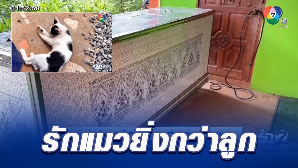 พ่อฆ่าลูกแท้ ๆ เพราะฉุนทำแมวหาย จ.เพชรบูรณ์