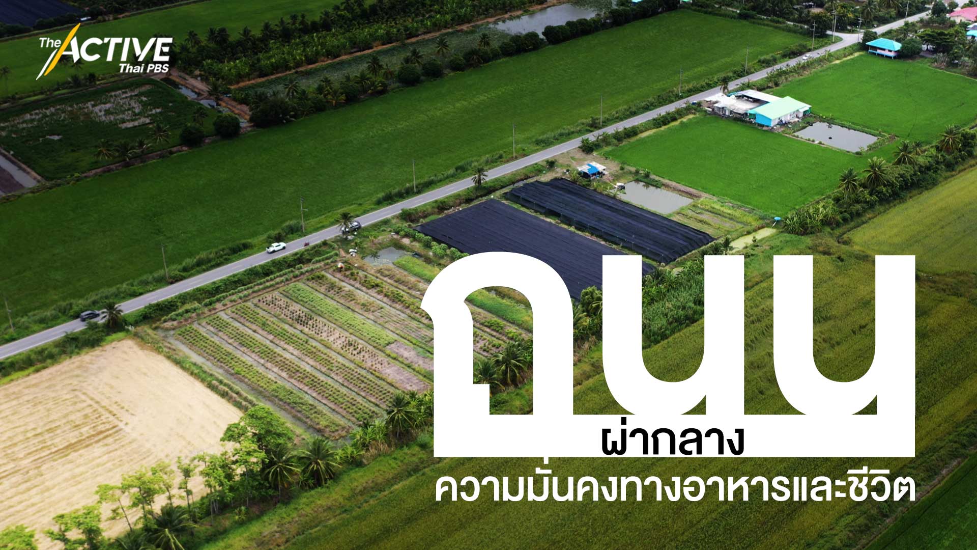 ถนนผ่ากลาง ความมั่นคงทางอาหารและชีวิต