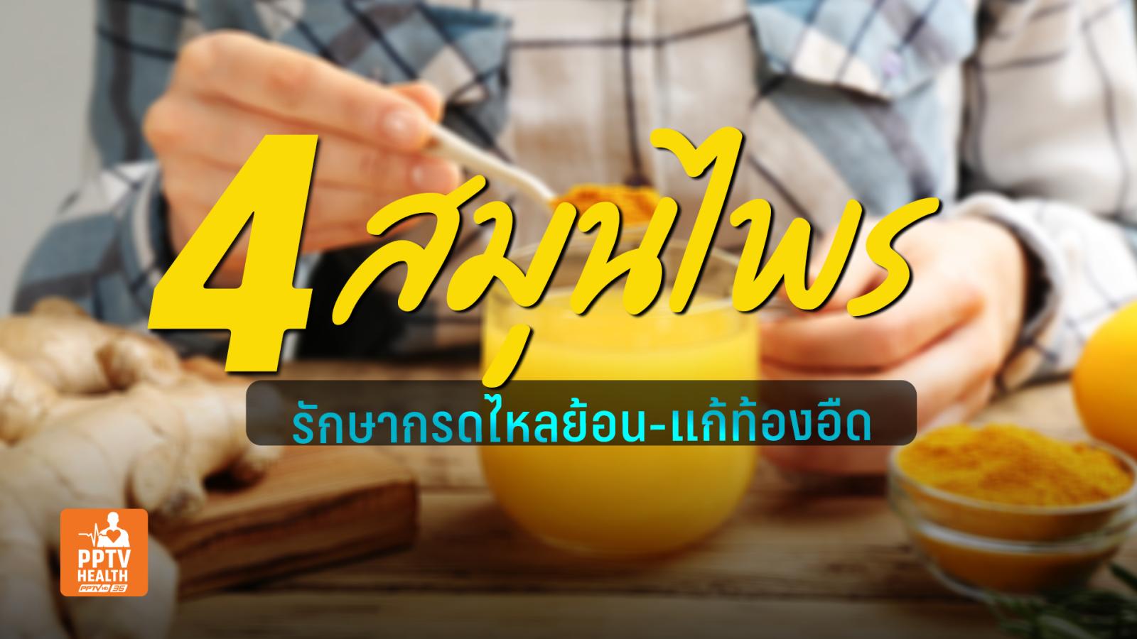 4 สมุนไพรมีฤทธิ์ช่วยรักษากรดไหลย้อน สมานแผลในกระเพาะได้เร็วขึ้น