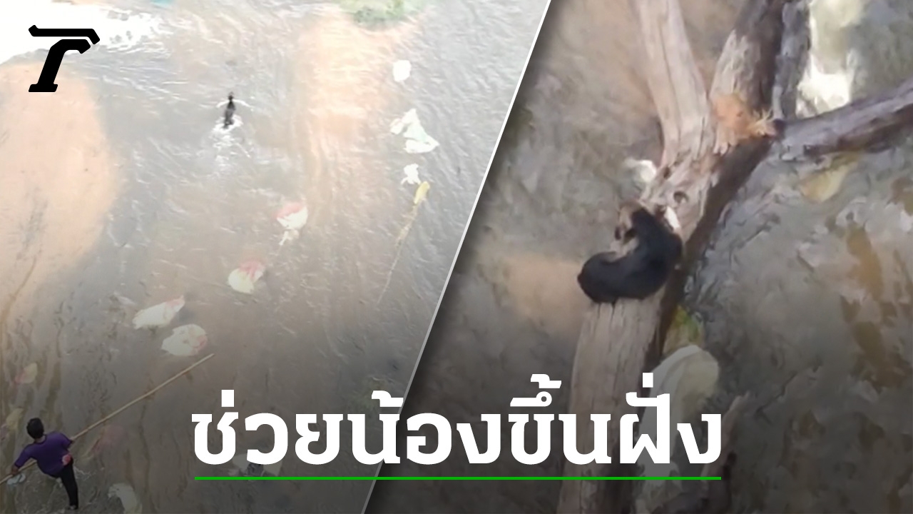 ทุลักทุเล ช่วยน้องหมา ตกสปิลเวย์ อ่างเก็บน้ำห้วยศาลา จนรอดชีวิต (คลิป)