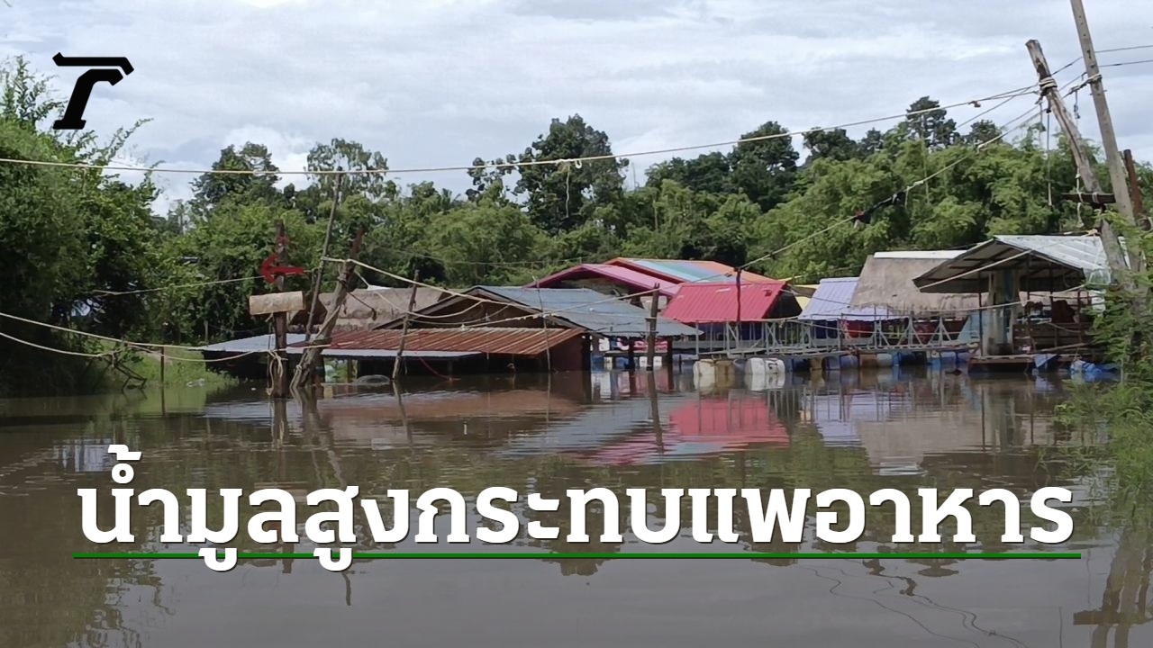 น้ำมูลเพิ่มสูงกระทบ ผู้ประกอบแพอาหารริมน้ำบุรีรัมย์ ขายไม่ได้โดนน้ำท่วมหนัก