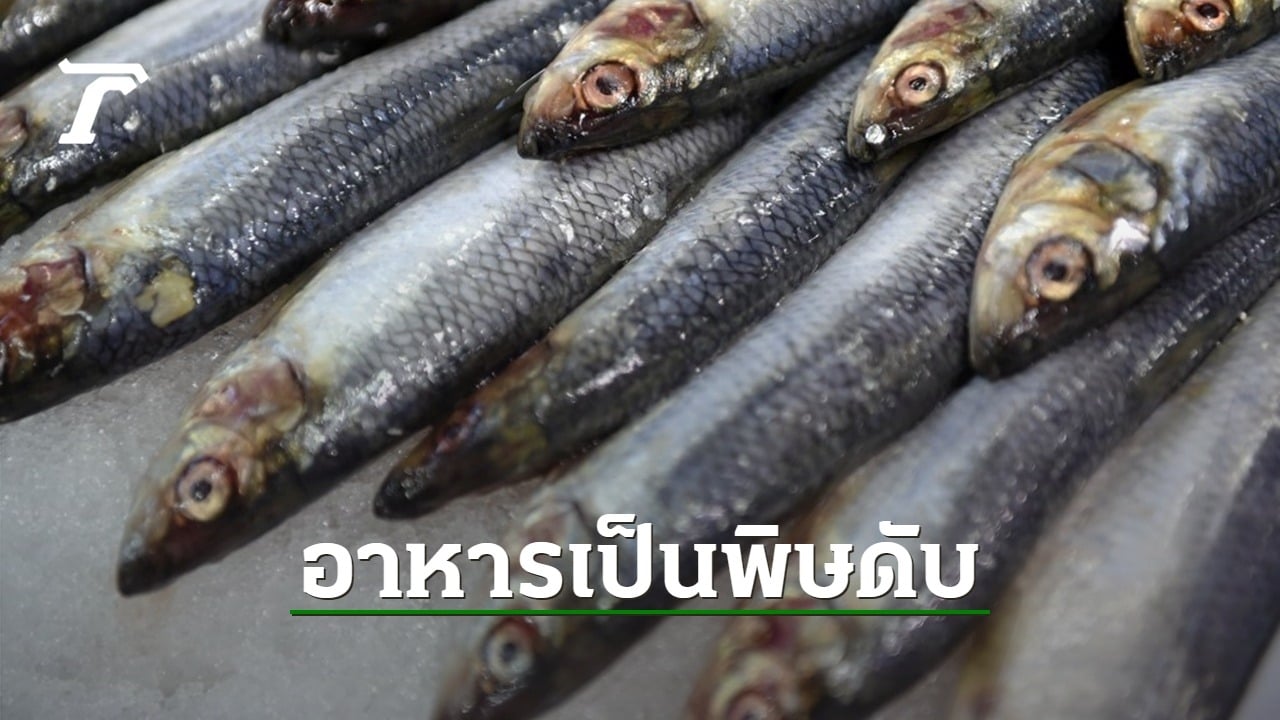 ลูกค้ากินซาดีนในร้านอาหารฝรั่งเศส ติดเชื้อโบทูลิซึมดับ 1 ป่วยอีก 12 ราย
