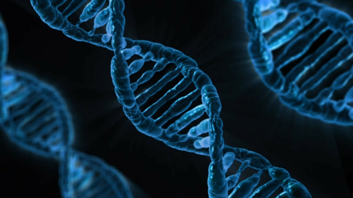 Computador do futuro é orgânico e feito à base de DNA, dizem os chineses