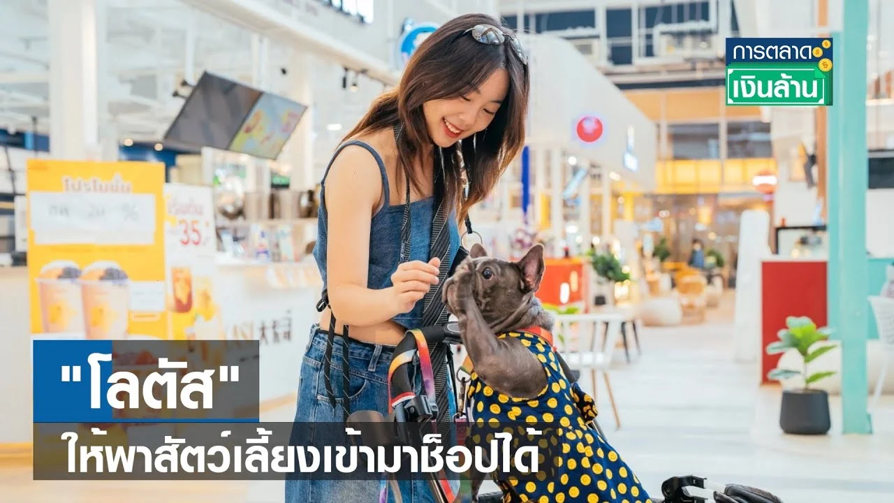 ‘โลตัส’ ให้พาสัตว์เลี้ยงเข้ามาช็อปได้ | การตลาดเงินล้าน | TNN | 28 กันยายน 2566