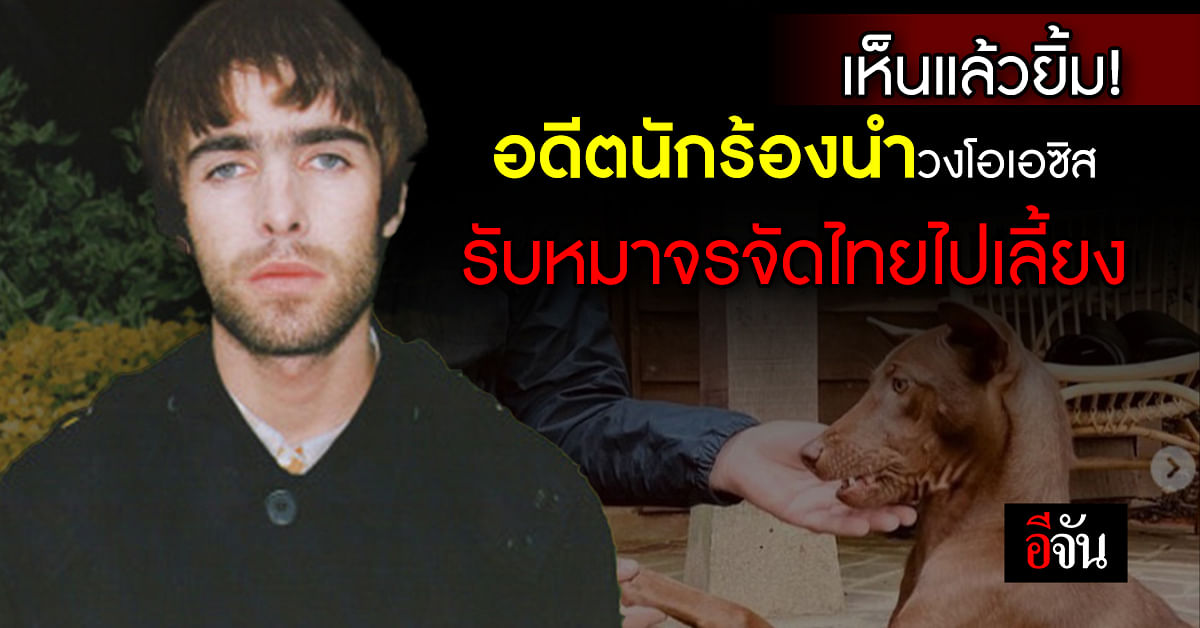 “เลียม กัลป์ลาเกอร์” อดีตนักร้องนำวงโอเอซิส รับสุนัขจรจัดไทยไปเลี้ยง