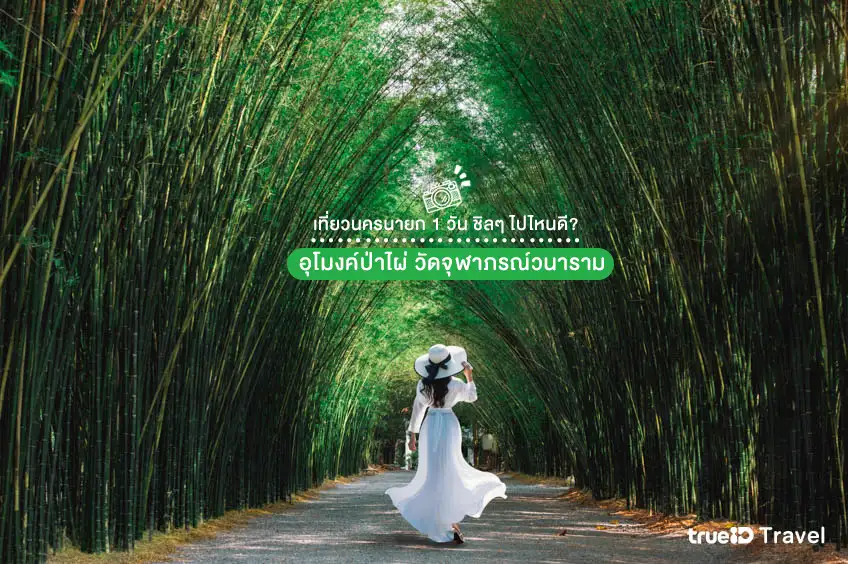 เที่ยวนครนายก 1 วัน ชิลๆ ธรรมชาติสวยๆ ขับรถเที่ยวใกล้กรุงเทพ