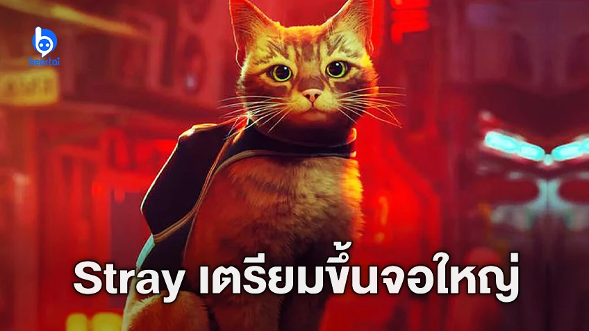 สตูดิโอดังเตรียมดัดแปลงแมวพเนจร “Stray” เกมคุณภาพแห่งปี 2022 เป็นหนังแอนิเมชั่น