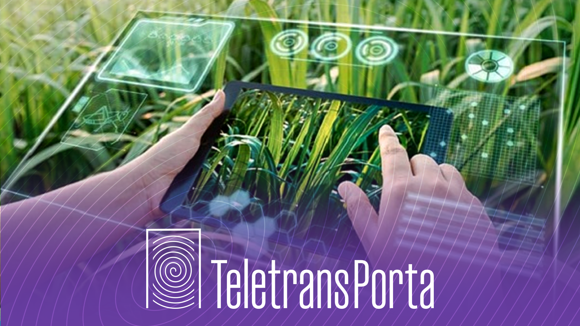 Tecnologia na agricultura pode salvar o planeta da fome – Podcasts