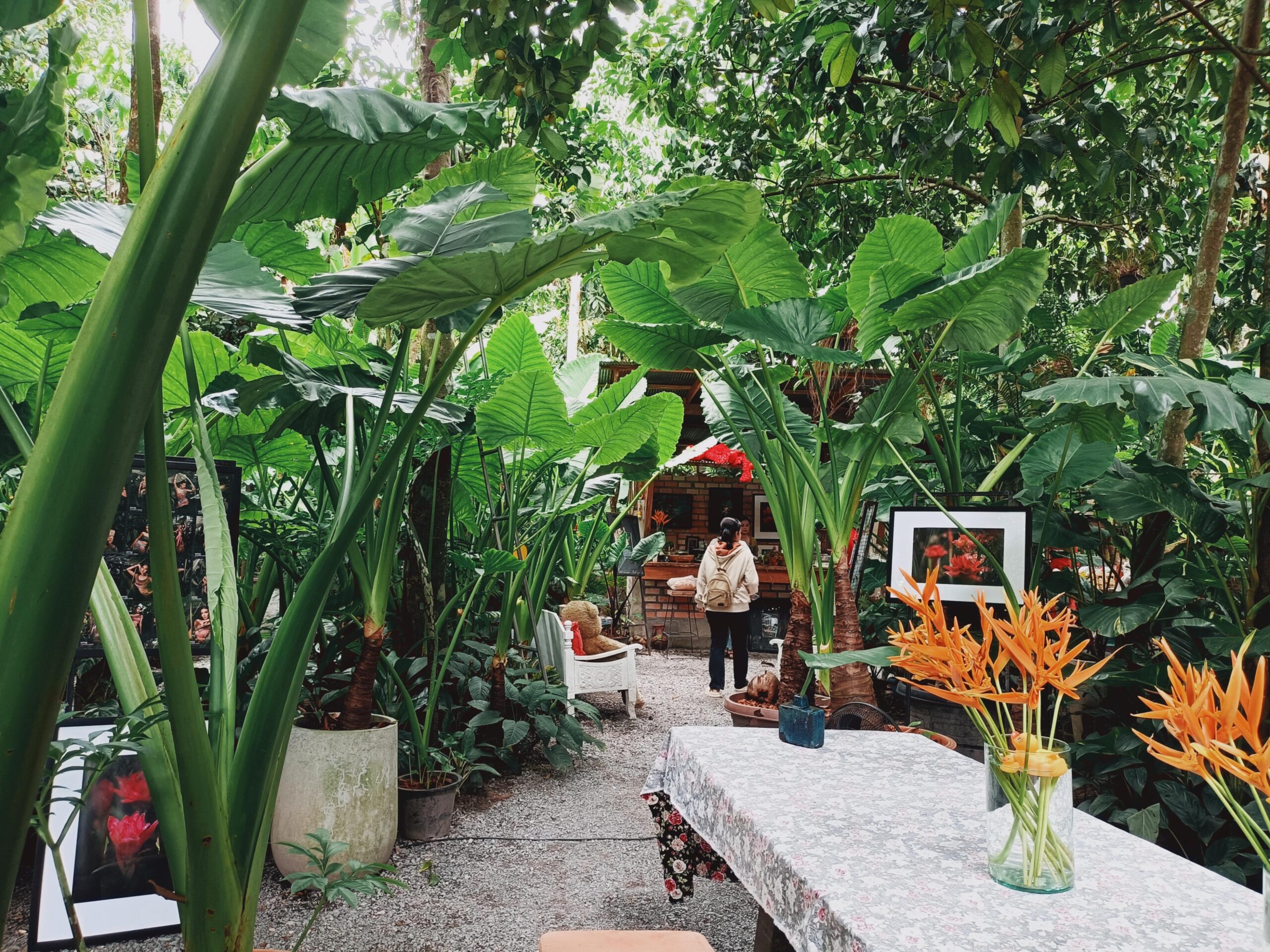 รีวิวร้านคาเฟ่ “ในดงบอน” ที่เที่ยวพิกัดเช็คอิน ถ่ายรูปสวยๆ จ.พัทลุง