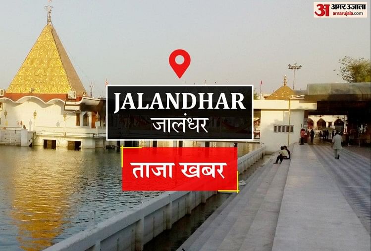 Jalandhar News: गाड़ी में खाली क्रेटों के नीचे बंधे मिले चार पशु, चालक फरार