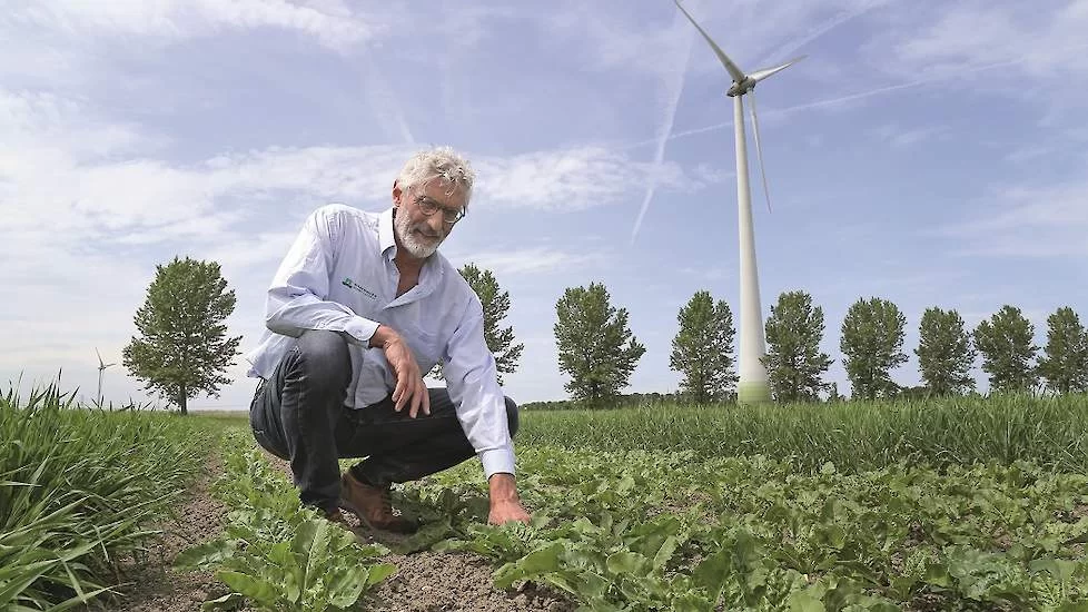 Descubra como a inteligência artificial está revolucionando a agricultura moderna!