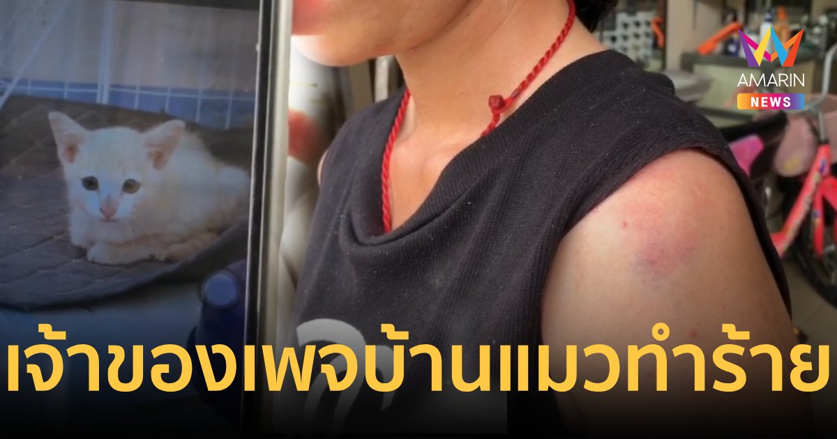 สาวร้องถูกเจ้าของเพจจัดหาบ้านแมวบุกทำร้ายร่างกายไม่พอใจเอาแมวไปปล่อย