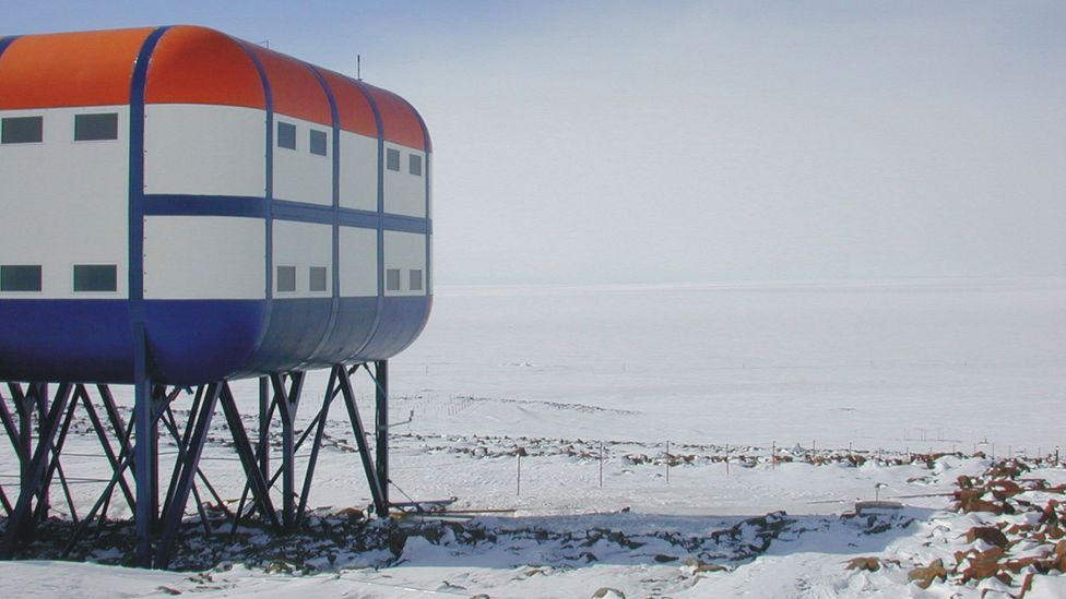 Scientists built this listening network to detect nuclear bomb tests. It found blue whales instead