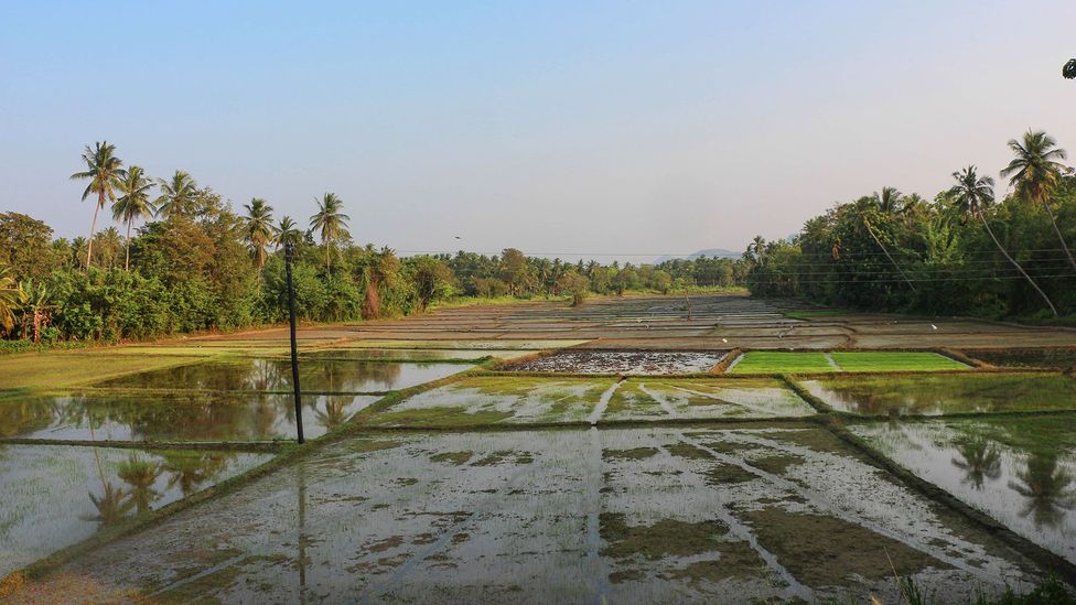 The ancient Sri Lankan ‘tank cascades’ tackling drought