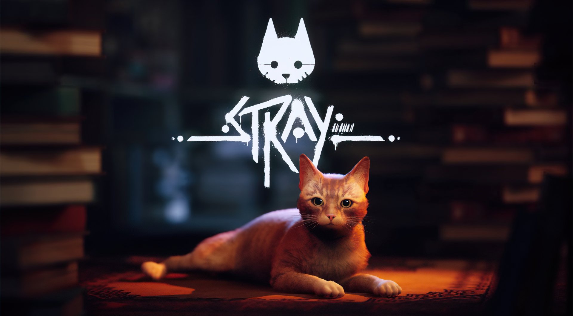 “Stray” เกมน้องแมวผจญภัยในโลกที่ไร้ผู้คน เตรียมถูกดัดแปลงเป็นภาพยนตร์แอนิเมชัน