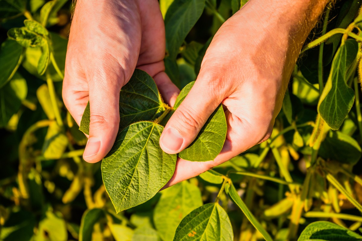 A tecnologia como aliada da produção sustentável no campo