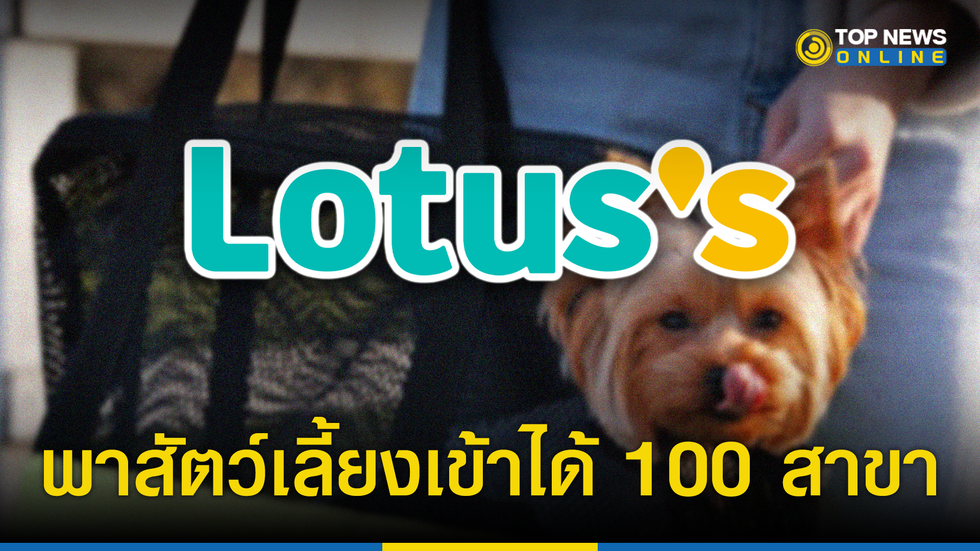 “โล ตัส” เปิด Pet Friendly Mall พาสัตว์เลี้ยงเข้าได้ 100 สาขา