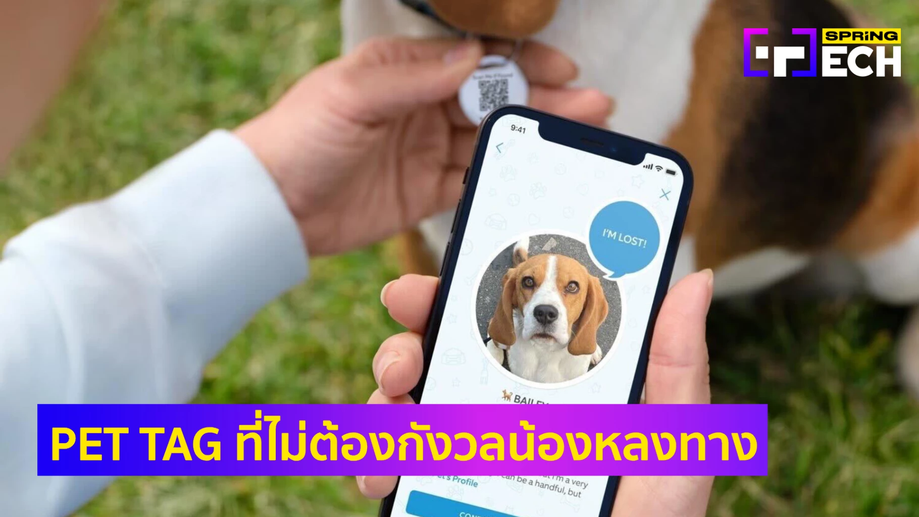 คนรักสัตว์ต้องว้าว! Amazon เตรียมวางขาย Pet Tag “Ring” ราคา 357 บาท