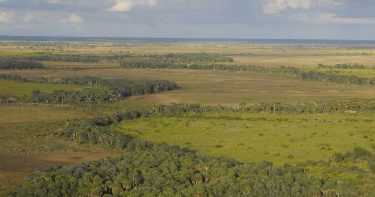 Simpson seeks $300M for land conservation program