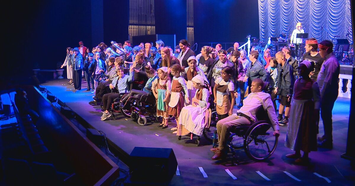 10 years: providing adults with intellectual and developmental disabilities a chance to participate in theater