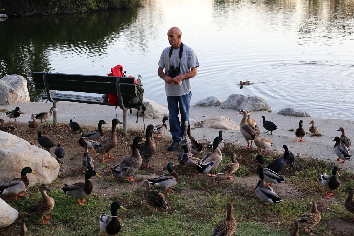 Bird injuries at Mile Square Park baffle officials, exhaust self-appointed advocates