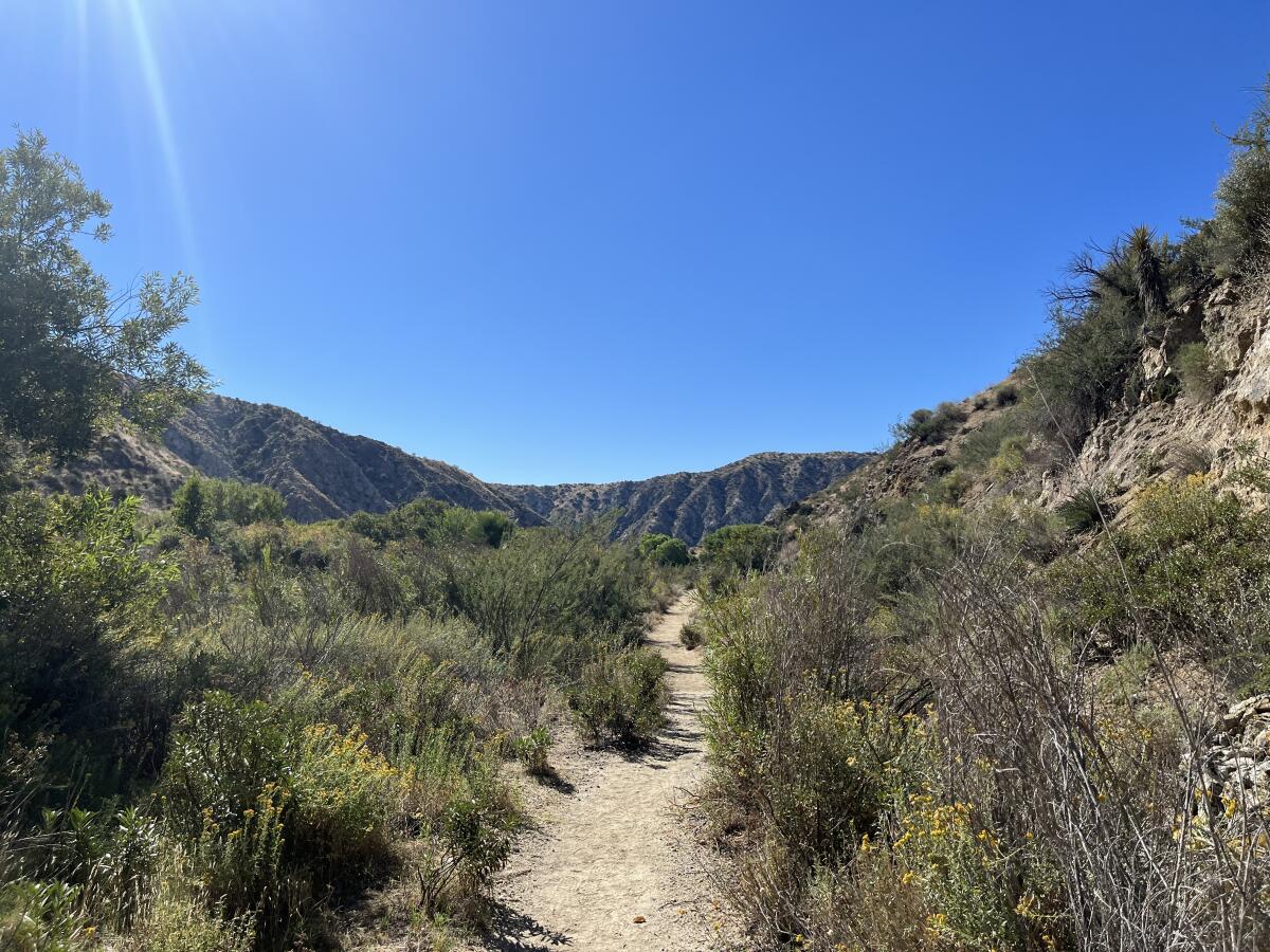 This California desert oasis has lessons for climate change