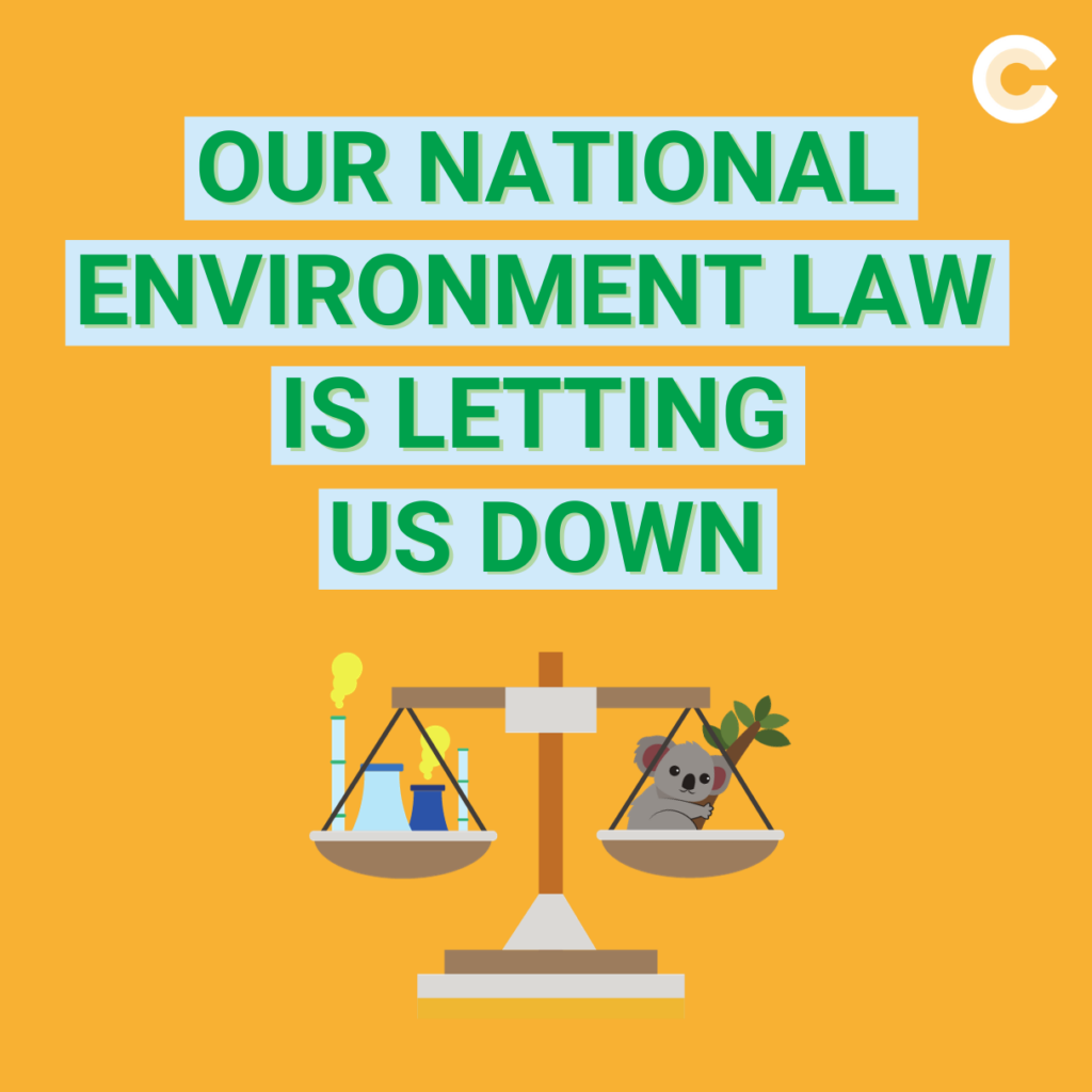 Expert opinion: Our National environment law is fundamentally flawed