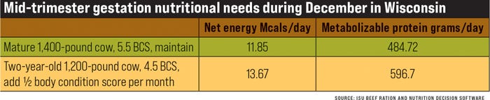 Don’t overlook nutritional needs of 2-year-old cows