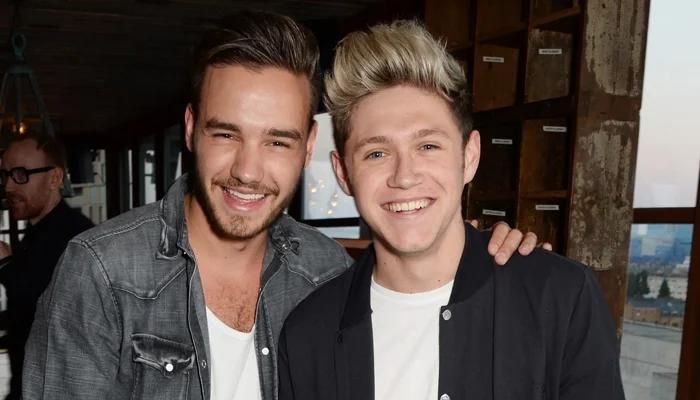 Liam Payne Visits the Homeland of His Former Bandmate Niall Horan