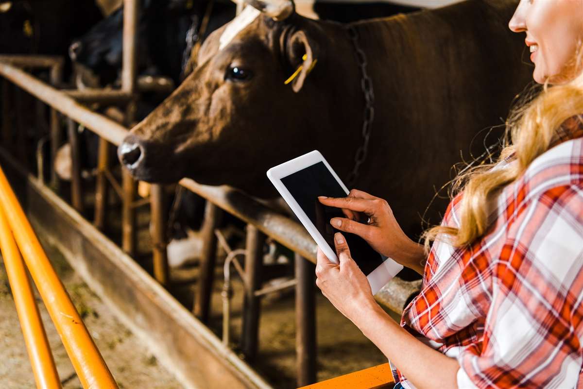 Tecnologia: salvação para a escassez da mão de obra?