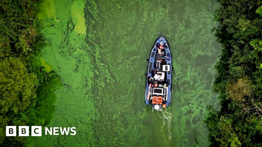 Why is the UK’s largest lake turning toxic green?