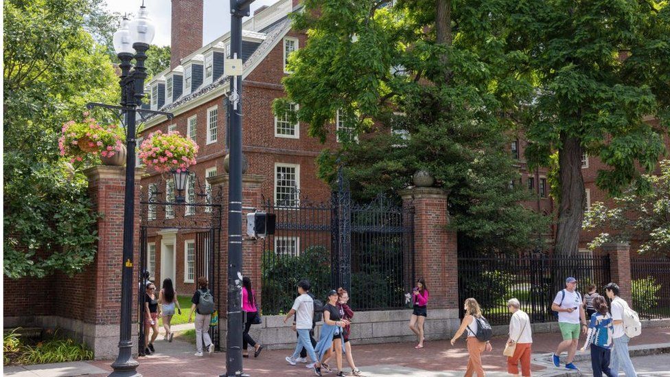 Growing backlash over Harvard students pro-Palestine letter