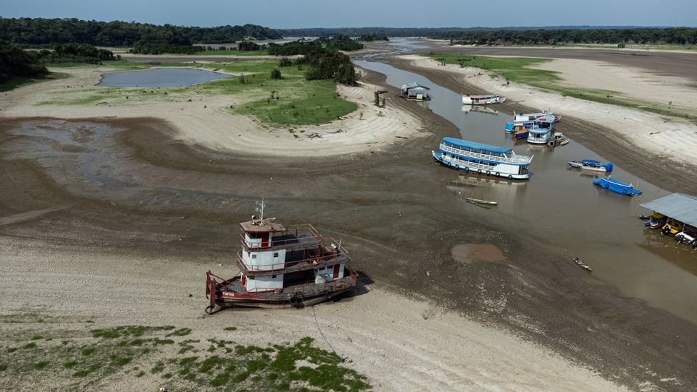 Amazon drought: Stranded boats and dead fish