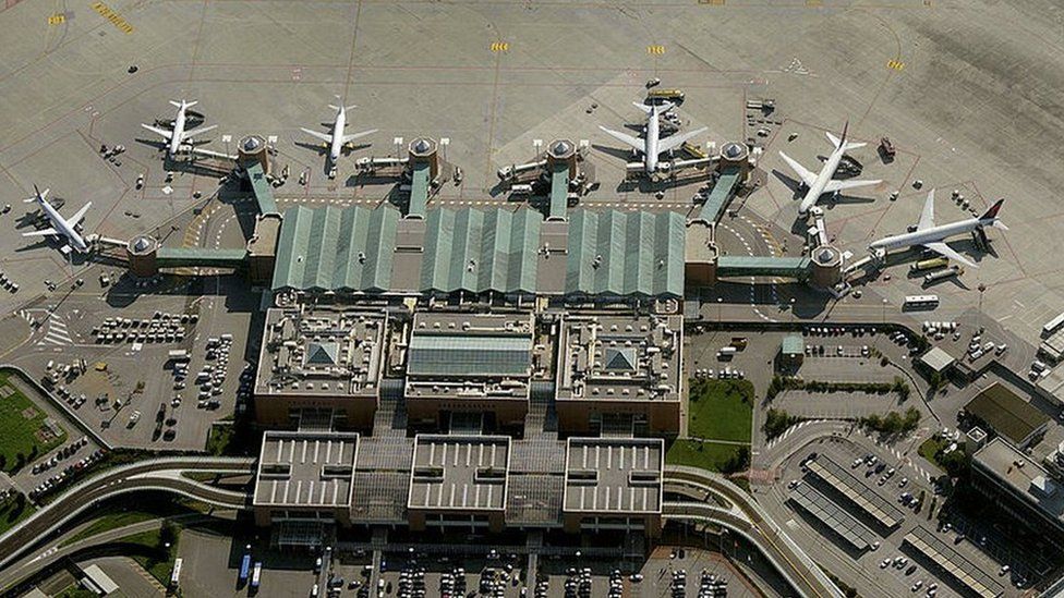 Venice airport closed, flights diverted by flock of seagulls