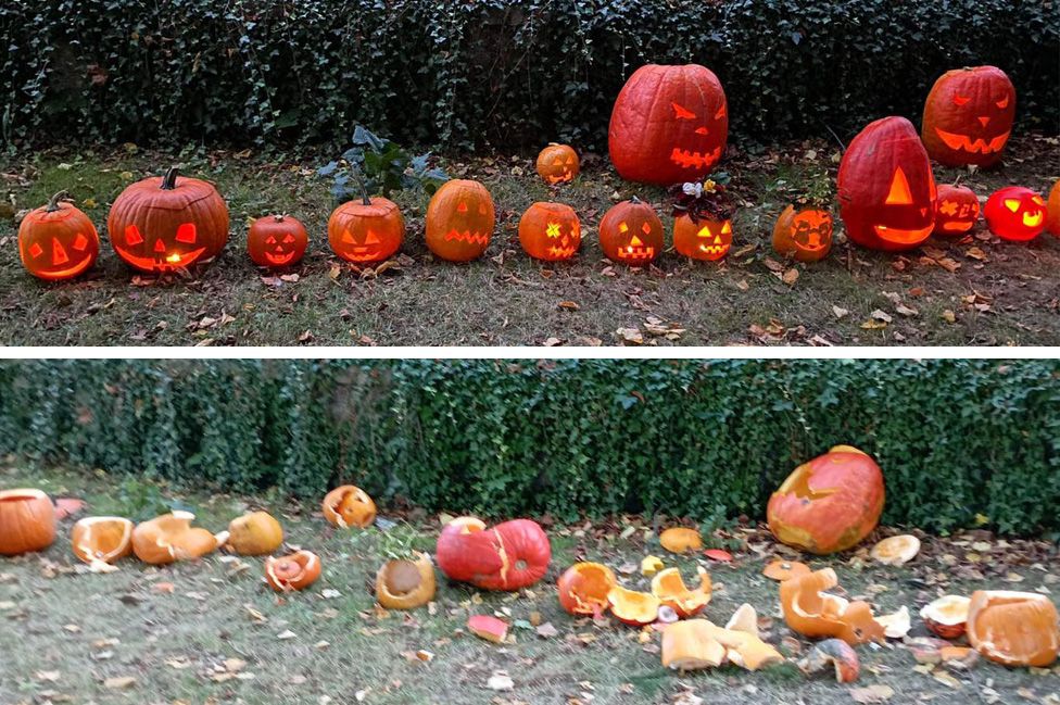 Czech village priest sorry for smashing pumpkins