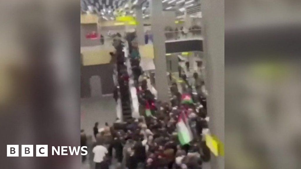 Video shows anti-Israel mob storming Russian airport