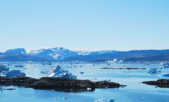 Dalhousie ranks in top 200 worldwide for climate change and conservation research