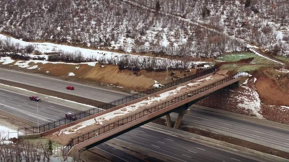 Utah Commits to Building More Wildlife Crossings to Improve Driver and Animal Safety