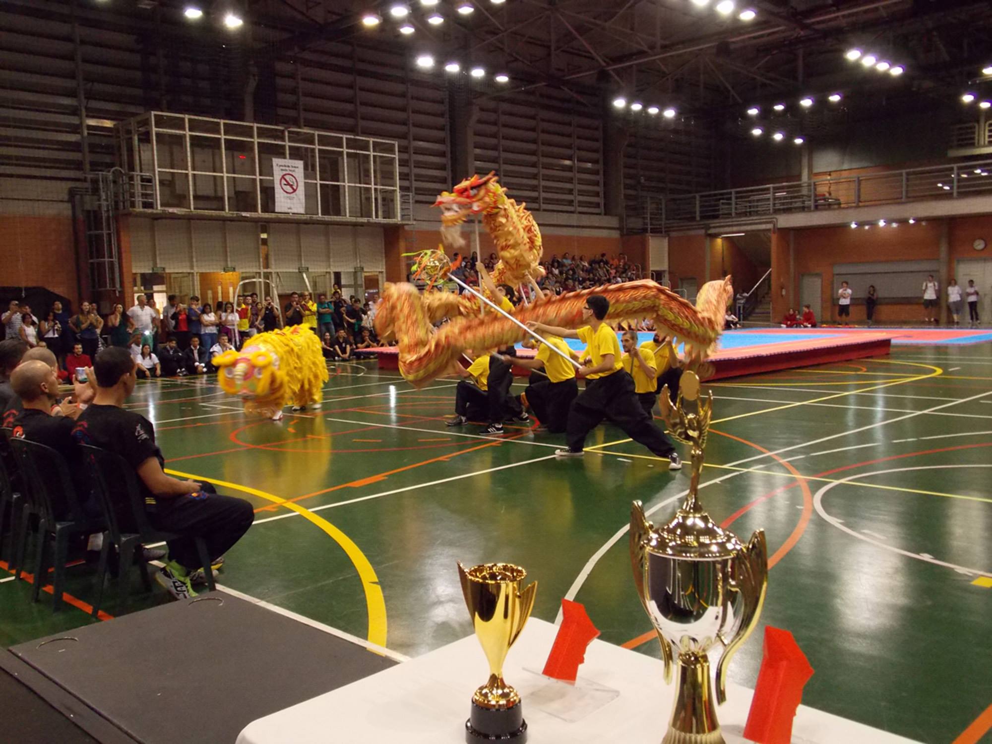 Araraquara recebe 2º Festival de Arte e Cultura Chinesa