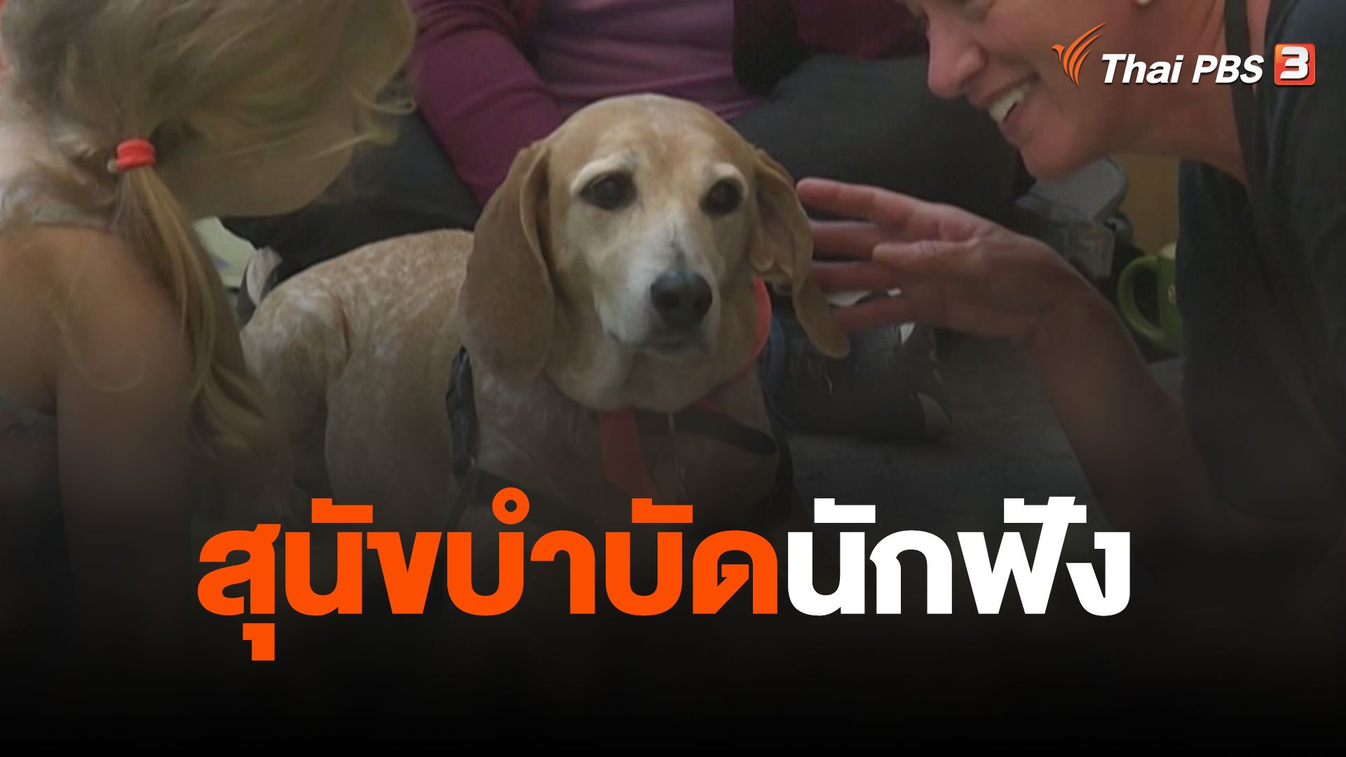 สีสันทันโลก