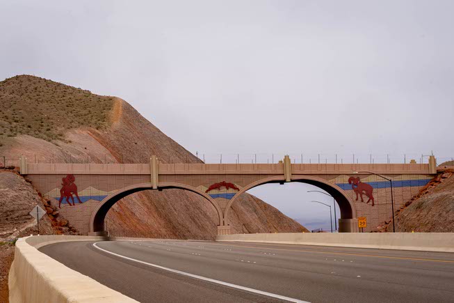 Nevada shows commitment to getting desert wildlife across the road safely