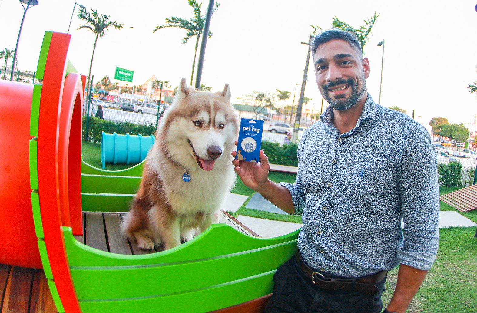 Pet tag: Tecnologia ajuda na busca de animais