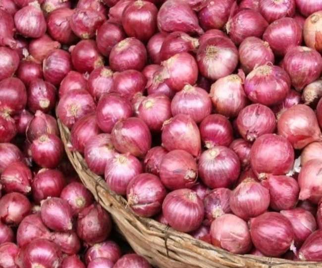 Onion Price: 70 रुपये किलो बिक रहा प्याज, चरखी दादरी में रसोई से लेकर फास्ट फूड स्टॉलों तक पर असर – Onion Price Haryana: Onion being sold at Rs 70 per kg, affected everything from kitchen to fast food stalls in Charkhi Dadri.