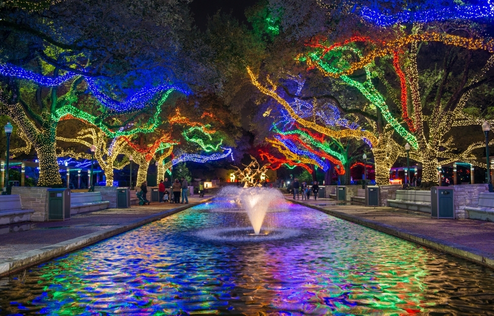 Book festival, zoo lights: 7 events to check out in the local area this November