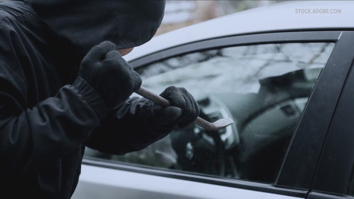 Car Theft Prevention Act proposed in Albany