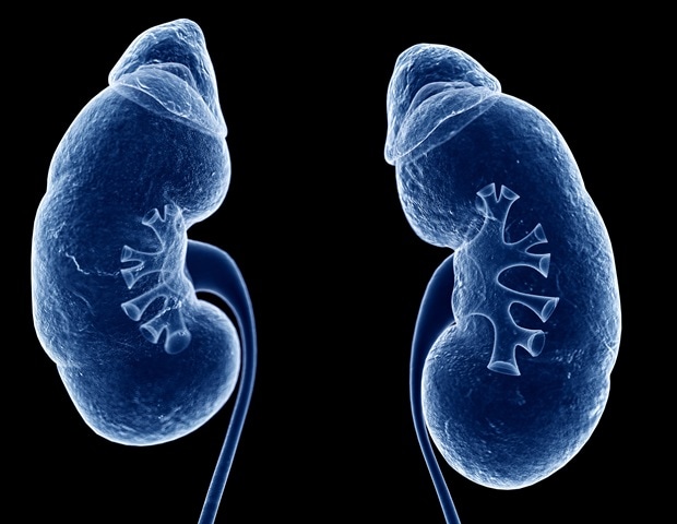 Higher participation in Specific Health Checkups associated with lower prevalence of kidney disease